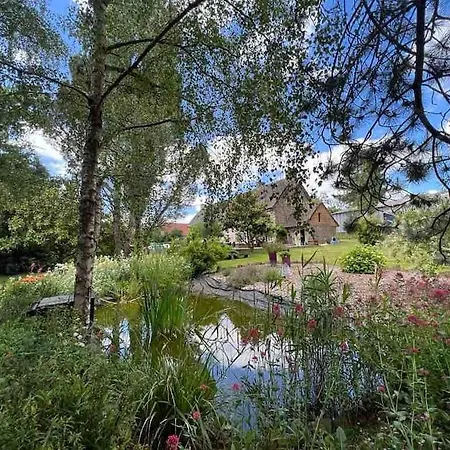 Magnifique Pierre, Toit De Chaume Et Piscine Villa *